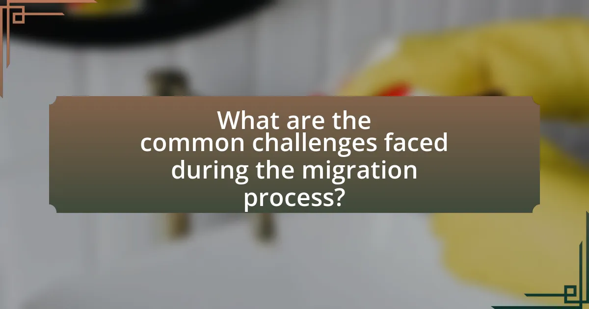 What are the common challenges faced during the migration process?